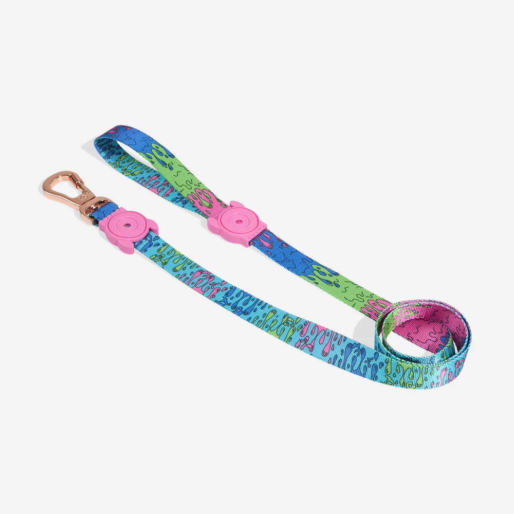 Zee.Dog Sale Discounted Dog items